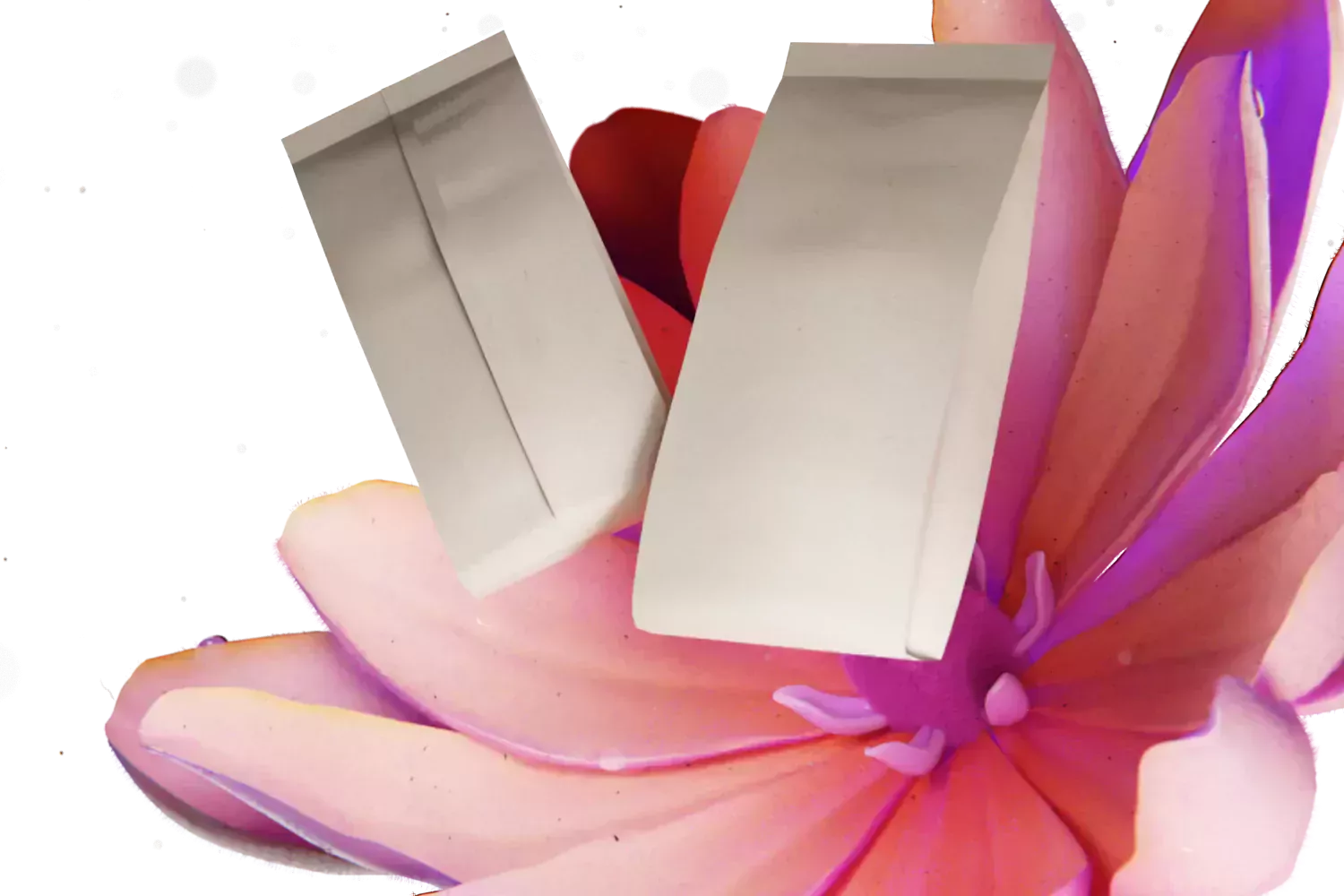 Empaque Flowpack Packvisión